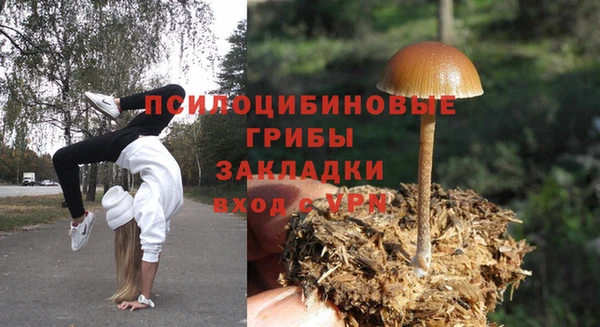 гидра Абаза