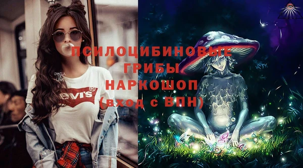 гидра Абаза