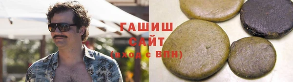 гидра Абаза