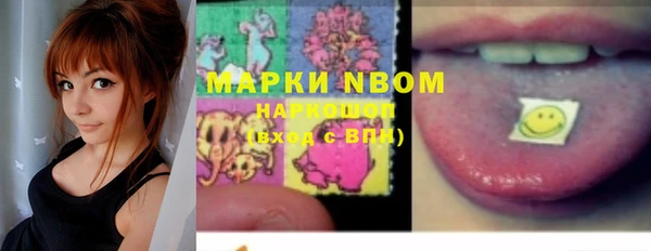 гидра Абаза