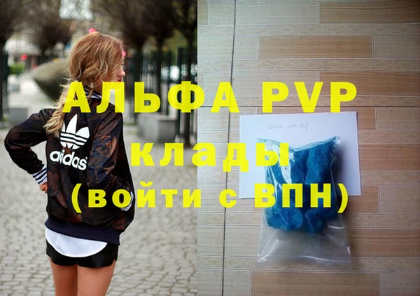 гидра Абаза