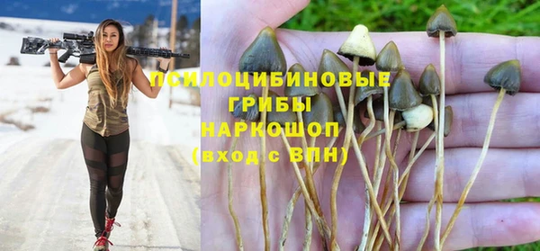 трава Абинск