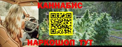 прущие крисы Дубна