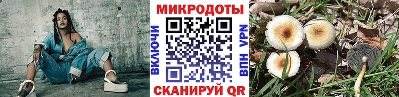 Галлюциногенные грибы Cubensis  darknet как зайти  Нижнекамск  купить наркоту 