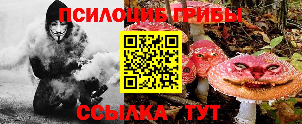 Псилоцибиновые грибы Cubensis  Вход с VPN  Галлюциногенные грибы Cubensis  Нижнекамск 
